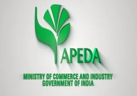 APEDA showcases India's agricultural and processed food products at IFE London 2025