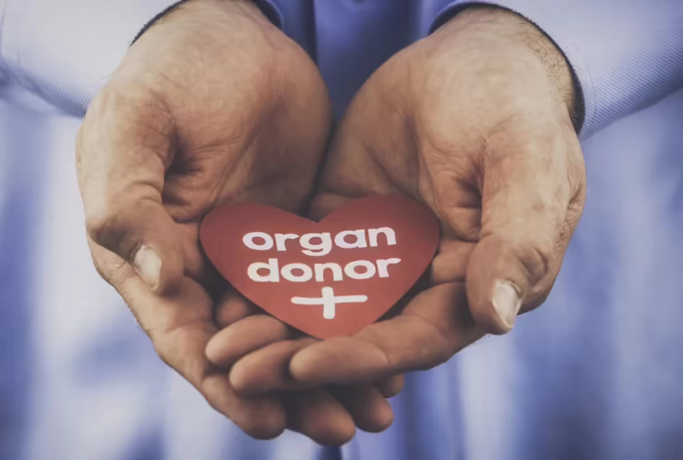 India crosses 5 lakh organ donation pledges, marks major milestone