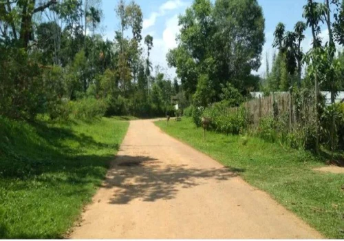 Rural road brings better connectivity and access to essential services in remote villages of Simdega