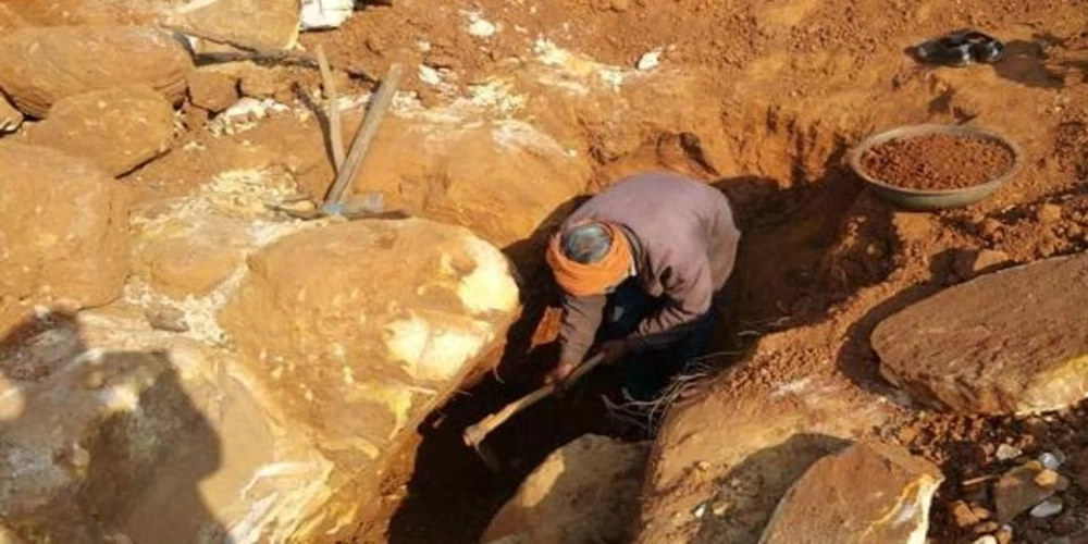 NMDC resumes diamond extraction near Madhya Pradesh tiger reserve NMDC resumes diamond extraction near Madhya Pradesh tiger reserve