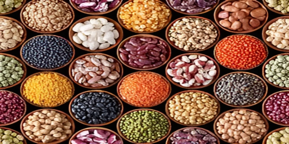 Government e Marketplace (GeM) launches 170 seed categories on the portal Government e Marketplace (GeM) launches 170 seed categories on the portal