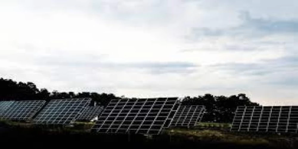 Three-member committee constituted to resolve disputes of renewable energy sector Three-member committee constituted to resolve disputes of renewable energy sector