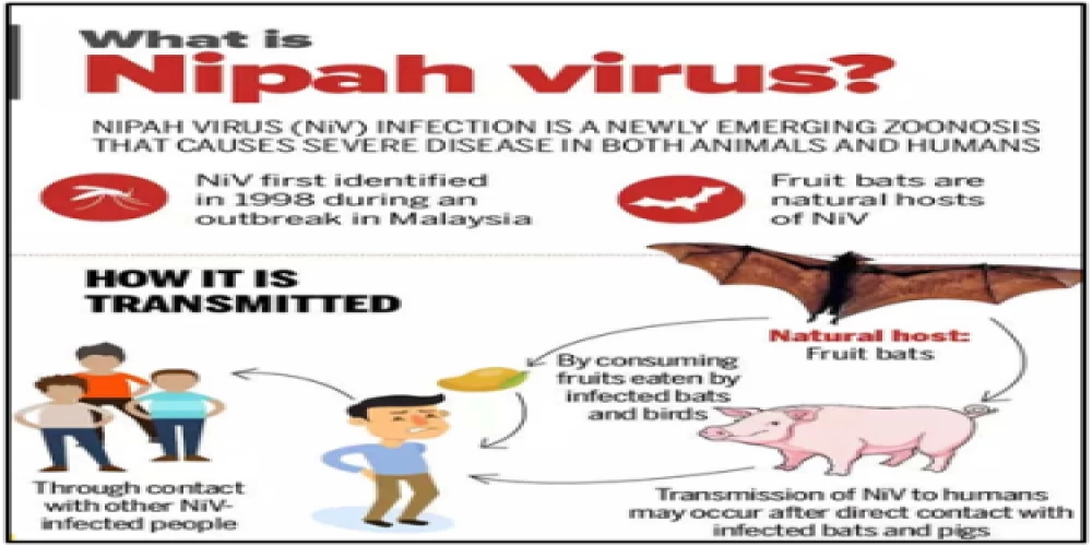 Nipah virus outbreak in Kerala: A growing concern Nipah virus outbreak in Kerala: A growing concern