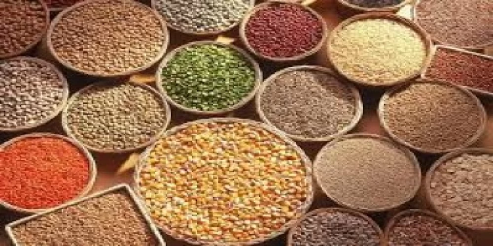 We must carry out R&D in all areas of the value chain of millets: Joint Secretary, Ministry of Agriculture and Farmers Welfare We must carry out R&D in all areas of the value chain of millets: Joint Secretary, Ministry of Agriculture and Farmers Welfare