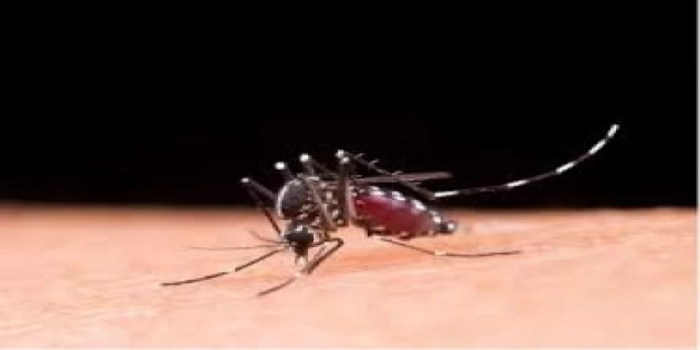 Andhra government sets target to wipe out Malaria by 2030 Andhra government sets target to wipe out Malaria by 2030
