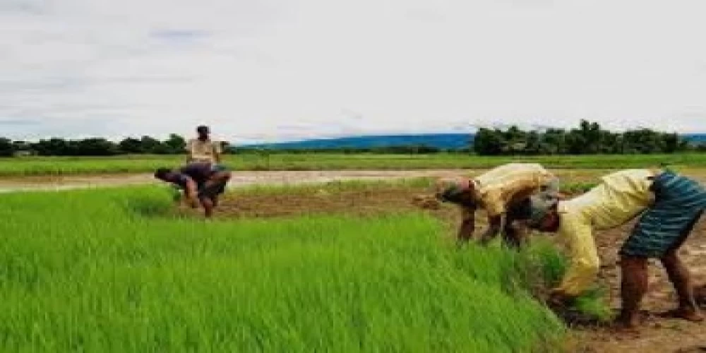 ‘Good Agriculture Practice’ policy soon: MoA &FW Secretary ‘Good Agriculture Practice’ policy soon: MoA &FW Secretary