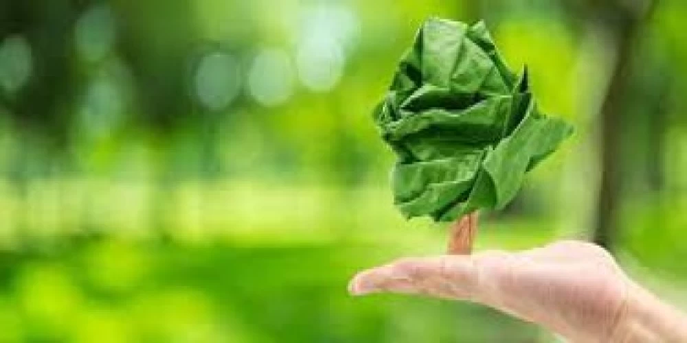 Green measure helps Bihar power firm save millions of papers Green measure helps Bihar power firm save millions of papers