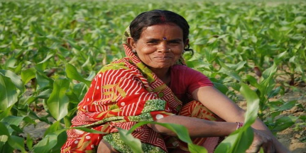 #SaluteTheFarmHER, an initiative of DS Group to recognize contributions of female farmers #SaluteTheFarmHER, an initiative of DS Group to recognize contributions of female farmers