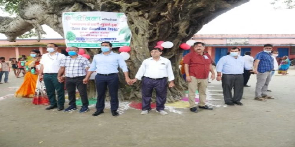 Saving Guardian Trees: East Champaran District Magistrate Shirsat Kapil Ashok shows the way! Saving Guardian Trees: East Champaran District Magistrate Shirsat Kapil Ashok shows the way!