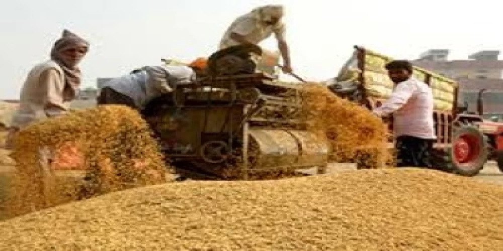 Major reprieve to Punjab farmers Major reprieve to Punjab farmers