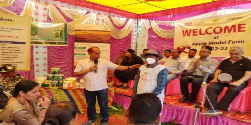 Syngenta India, Adani Agri Fresh give a boost to Himachal apple growers Syngenta India, Adani Agri Fresh give a boost to Himachal apple growers