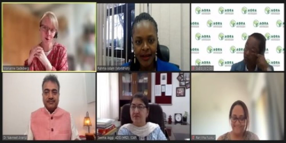 Women’s links with markets must be improved to make robust agri-food systems, vibrant rural communities: Experts Women’s links with markets must be improved to make robust agri-food systems, vibrant rural communities: Experts
