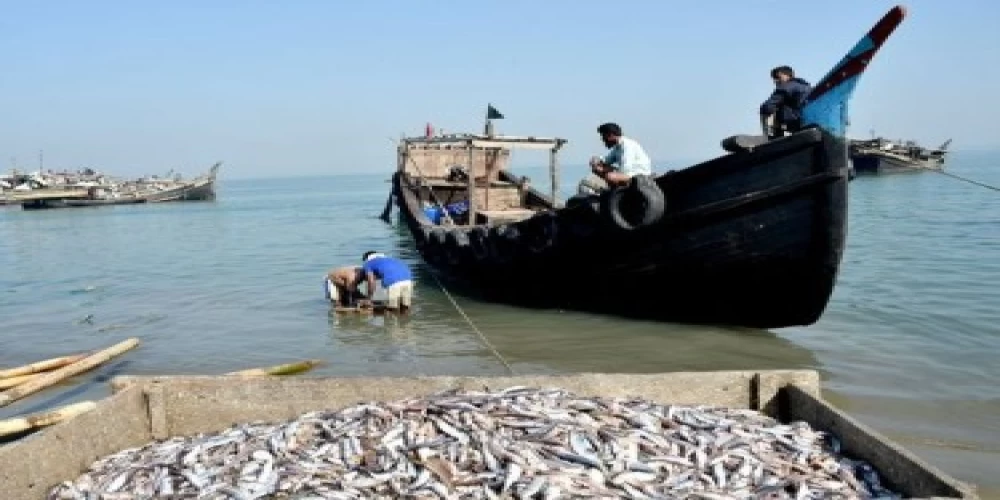 Indian fisheries: March to prosperity Indian fisheries: March to prosperity