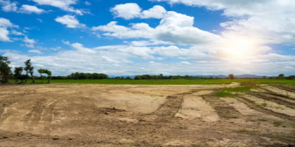 Cabinet nod to National Land Monetization Corporation Cabinet nod to National Land Monetization Corporation