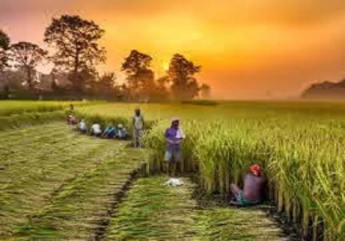 PMFBY: Participation of private sector firms and the road ahead