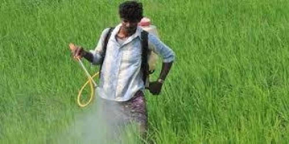 FICCI calls for reduction of GST on agrochemicals to 5 pc FICCI calls for reduction of GST on agrochemicals to 5 pc
