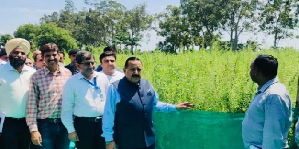 Jammu to pioneer India's first Cannabis Medicine Project Jammu to pioneer India's first Cannabis Medicine Project