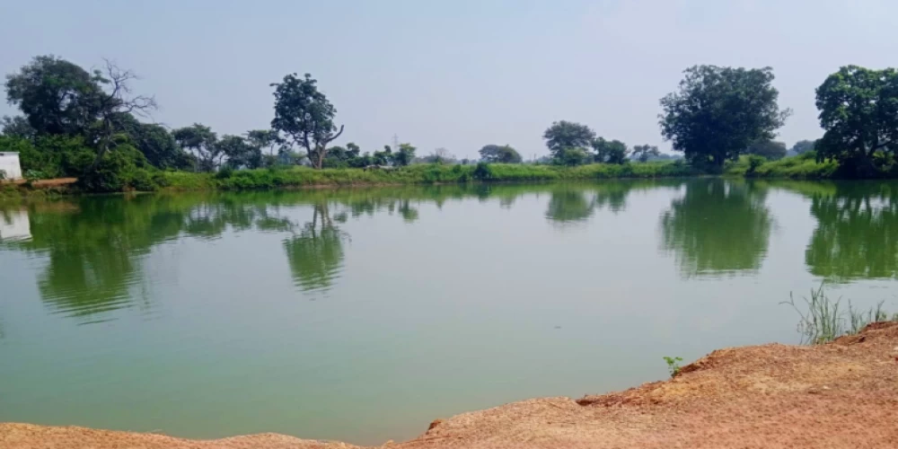Ambuja Cements builds water-secure and resilient villages in Chhattisgarh through impactful CSR initiatives