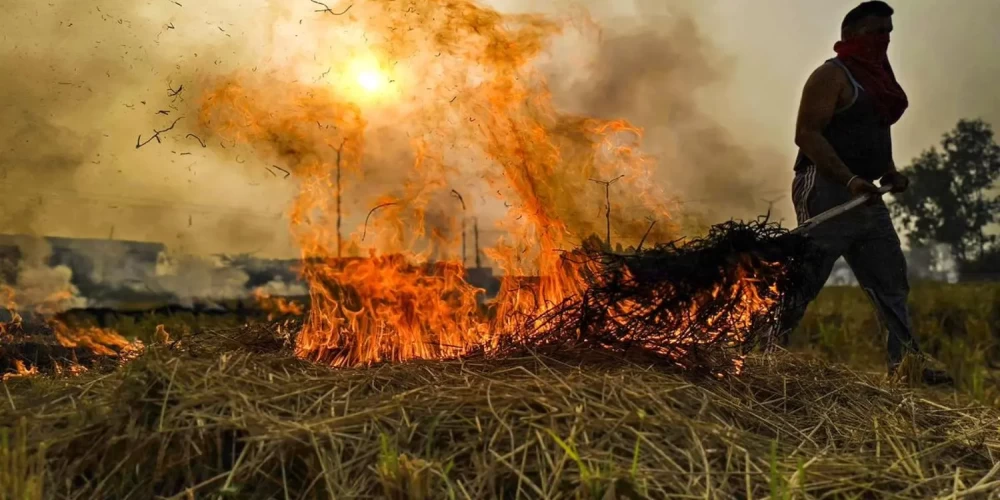 Vedanta’s TSPL initiative turns paddy stubble into fuel