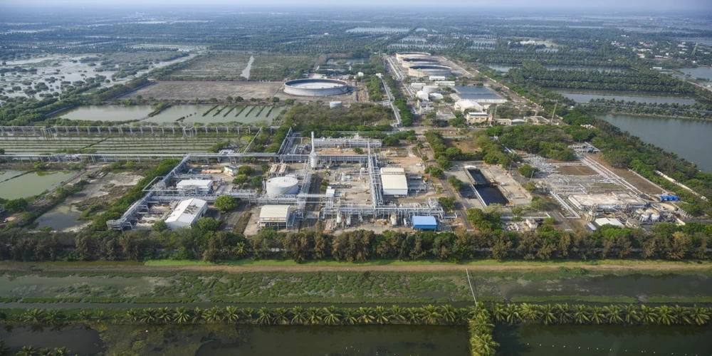 Cairn reports 89,770 tonnes of Carbon Emission reduction in FY25 - Equivalent to planting 4.5 million Trees/Year