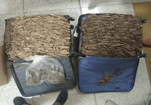 CISF intercepts 2 smugglers; recovers rare Agarwood worth over Rs 6.5 cr