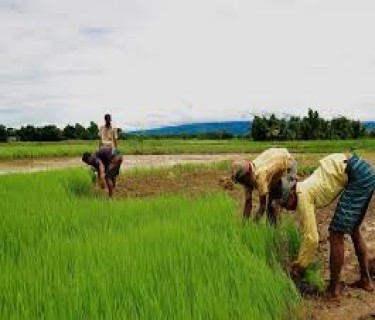 ‘Good Agriculture Practice’ policy soon: MoA &FW Secretary