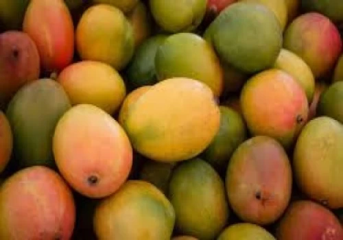 FSSAI alerts fruit traders to ensure compliance with prohibition of Calcium Carbide in fruit ripening