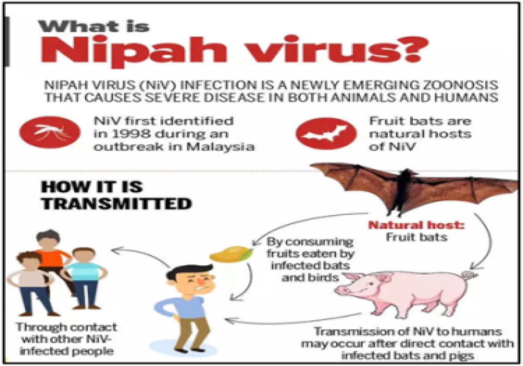 Nipah virus outbreak in Kerala: A growing concern