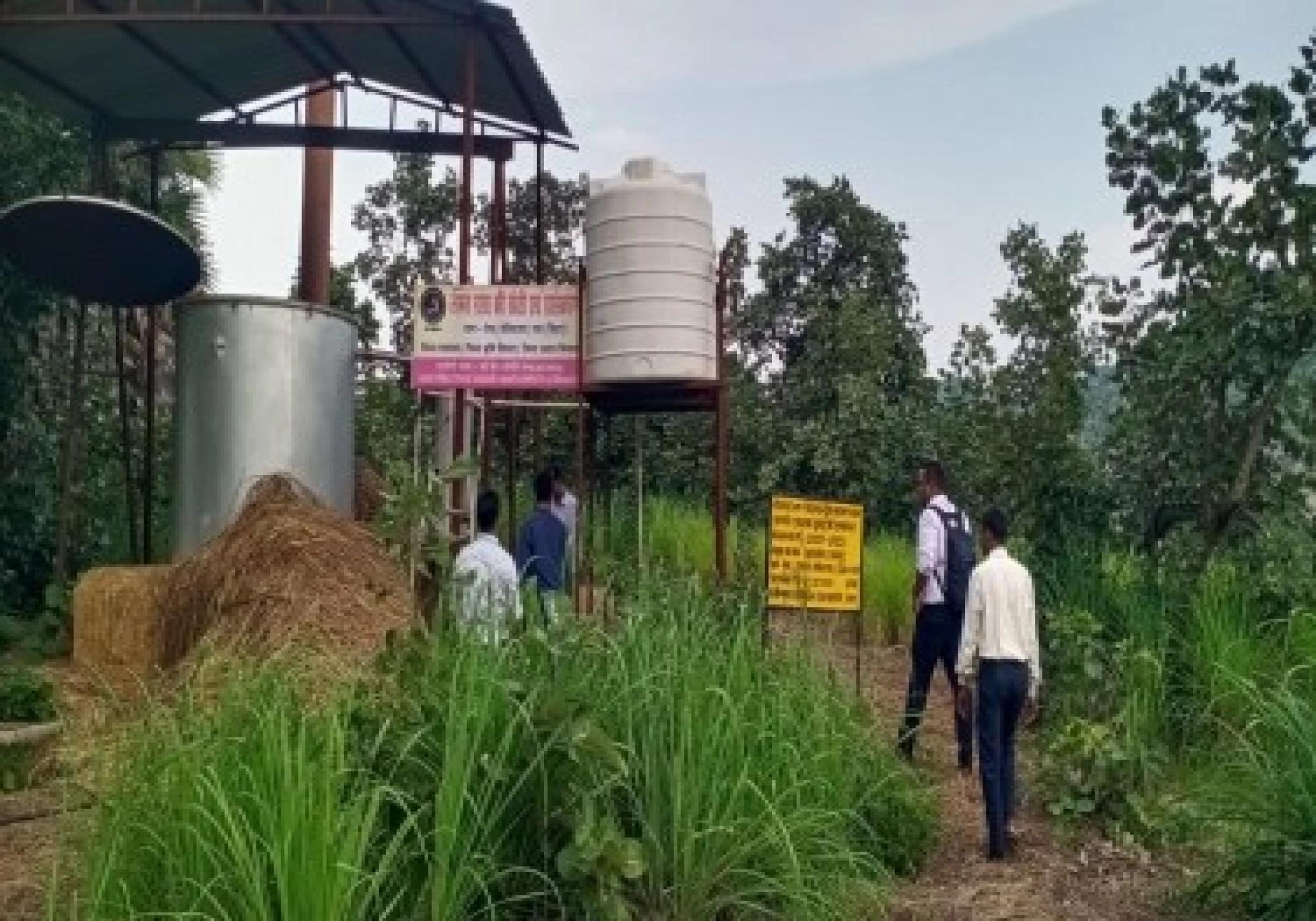 Lemongrass replacing Opium cultivation in Bihar's Gaya district