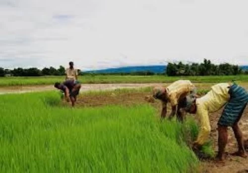 ‘Good Agriculture Practice’ policy soon: MoA &FW Secretary