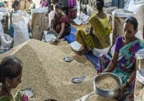 World’s most vulnerable now paying even more, for less food: FAO