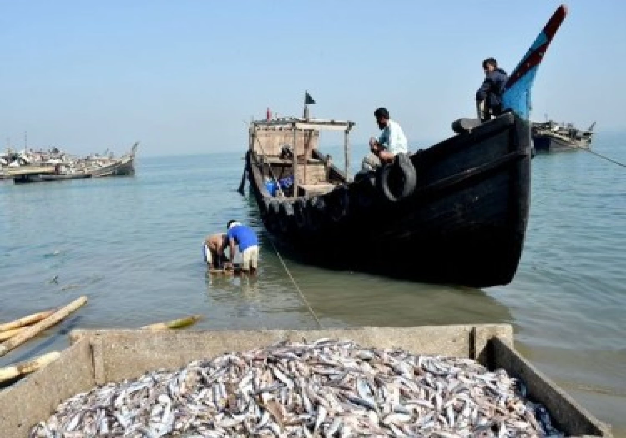 Indian fisheries: March to prosperity