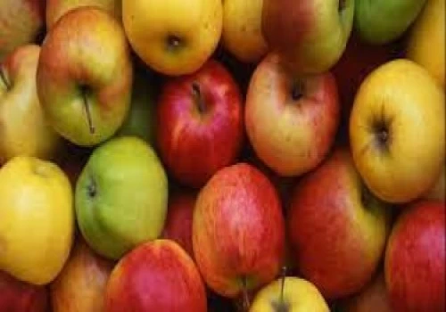 Waves of transformation through apple farming in North-East Region