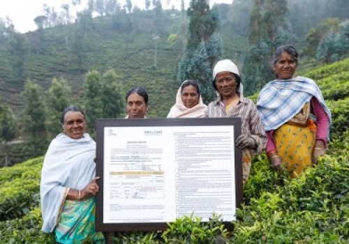 IAS officer Supriya Sahu rejuvenates cooperative movement in Coonoor tea plantations