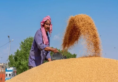 India’s farm exports touched US $ 19,709 million in Apr–Jan 2021-22