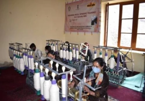 KVIC to begin ‘Pashmina’ production soon in Varanasi