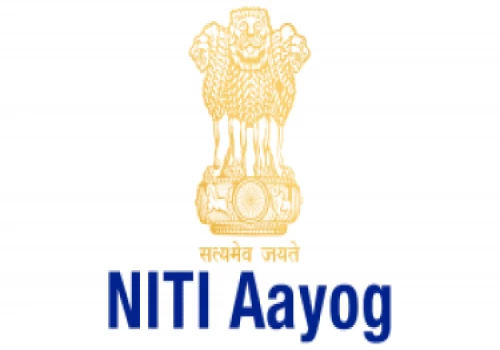 Time for India to transit from R&D stage to production of vanadium for usage in steel industry: NITI Aayog